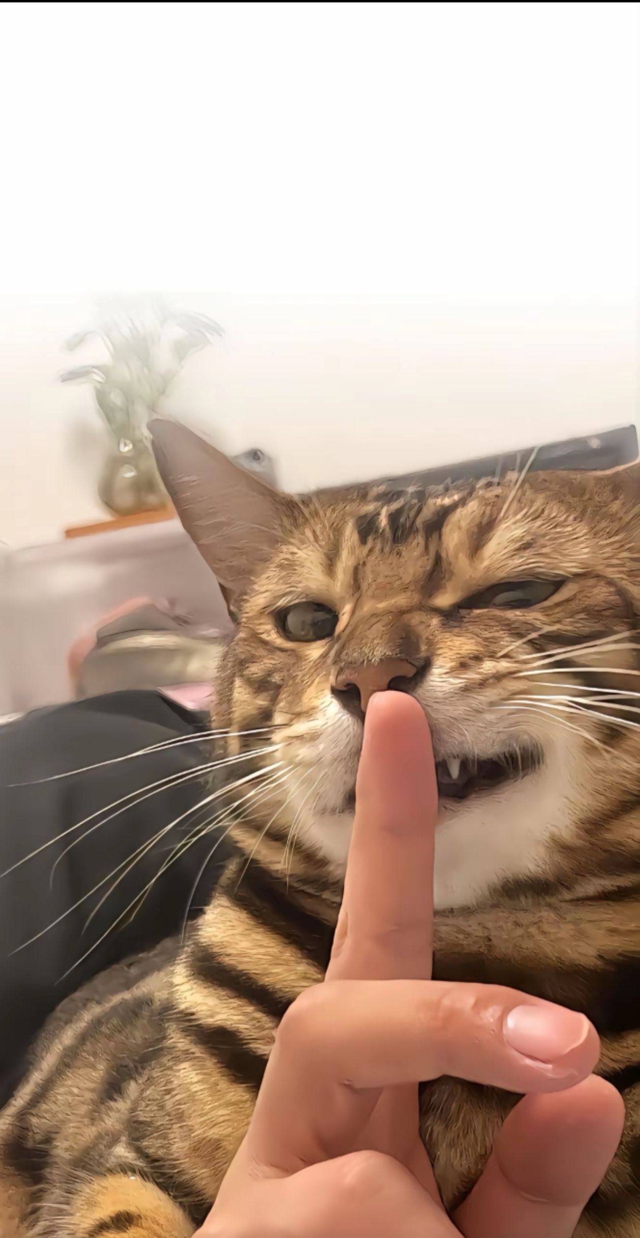吴先生头像